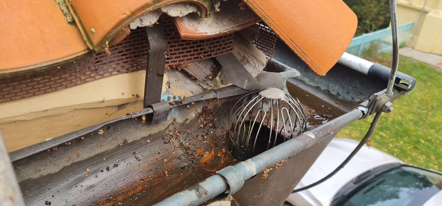 Cleaned gutter