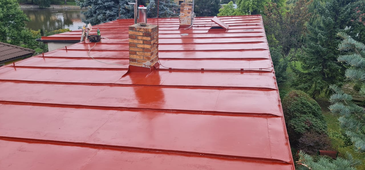 Roof painting
