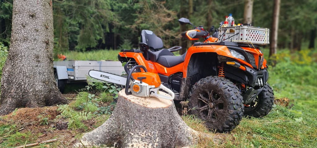 Hazardous tree felling with a Stihl chainsaw